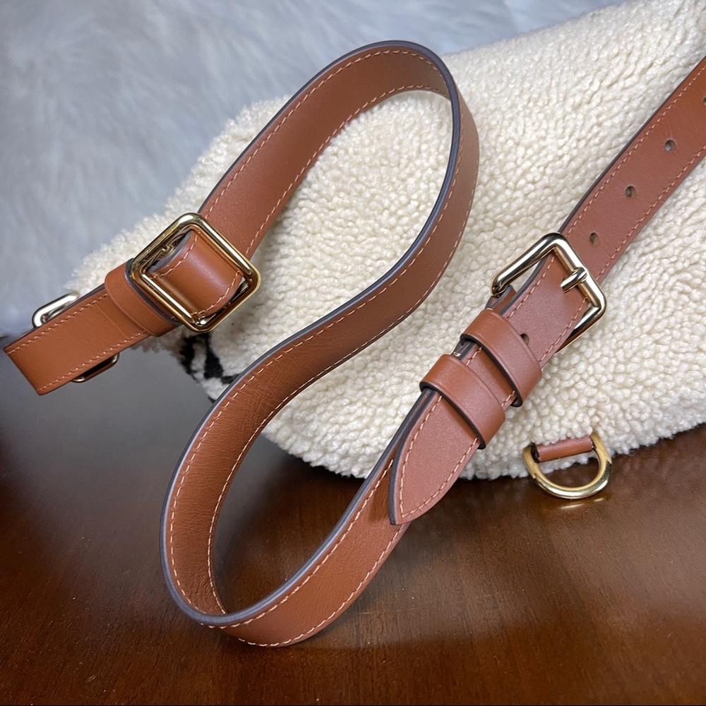 Louis Vuitton Teddy Mono Bumbag - Picture 10 of 13